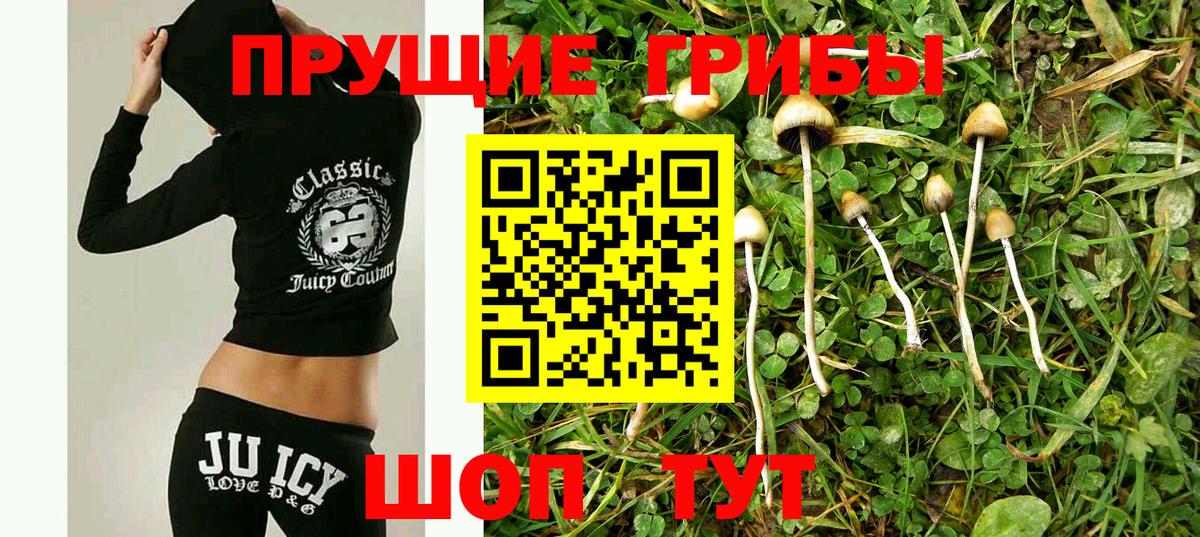 Галлюциногенные грибы Magic Shrooms Междуреченск